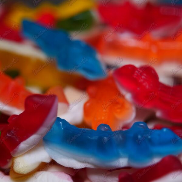 Crocodile - Par lot de 10