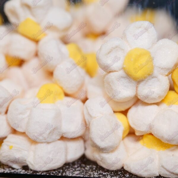 Fleur Marshmallow Blanche - Par lot de 5