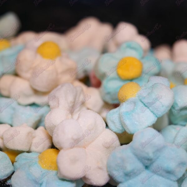 Fleur Marshmallow - Par lot de 5